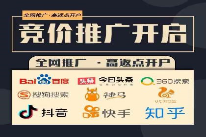 充值返点机制在社交平台的应用案例